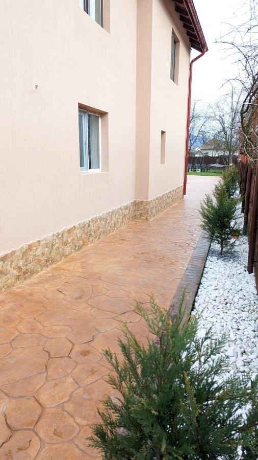 Casa Beatrice Villa Călimăneşti Екстериор снимка